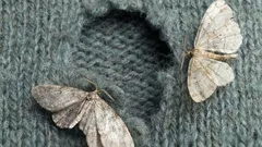 Mistä kotimittari oikeastaan ilmestyy?